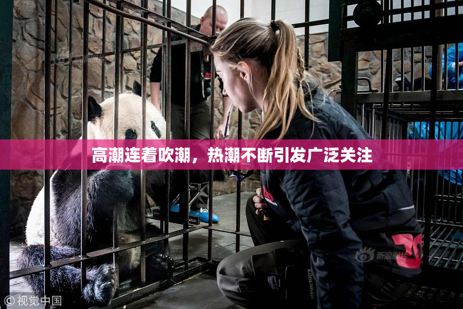 高潮连着吹潮，热潮不断引发广泛关注