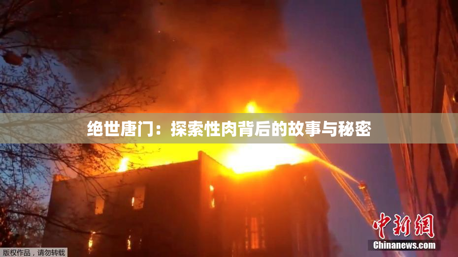 绝世唐门：探索性肉背后的故事与秘密