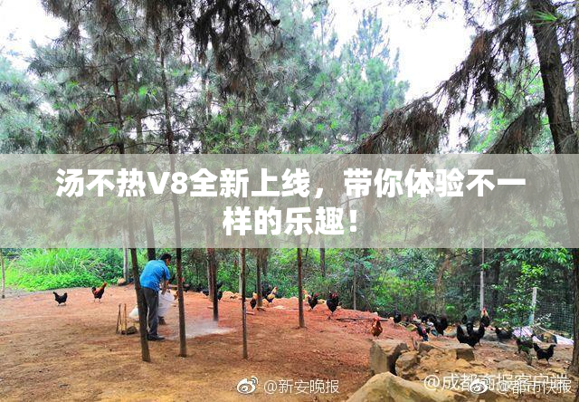 汤不热V8全新上线，带你体验不一样的乐趣！