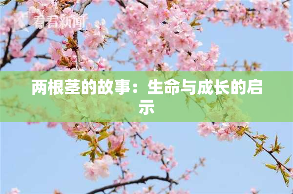 两根茎的故事：生命与成长的启示