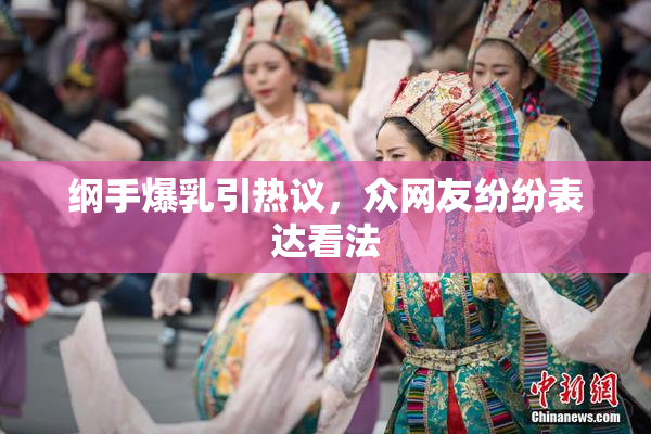 纲手爆乳引热议，众网友纷纷表达看法