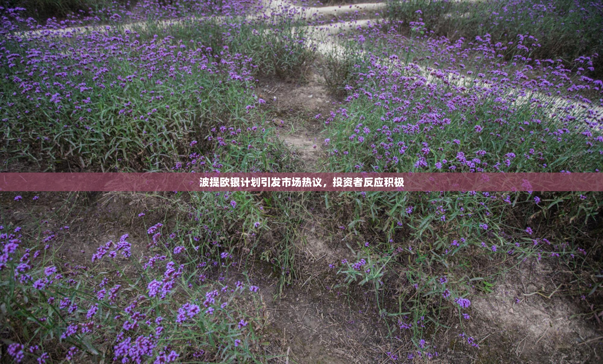 波提欧银计划引发市场热议，投资者反应积极