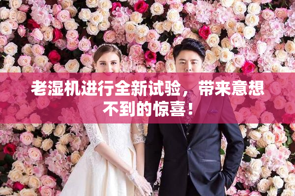 老湿机进行全新试验，带来意想不到的惊喜！