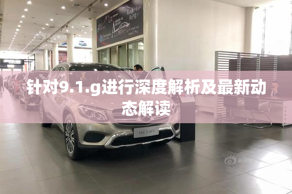 针对9.1.g进行深度解析及最新动态解读
