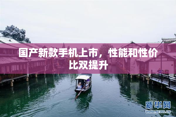 国产新款手机上市，性能和性价比双提升