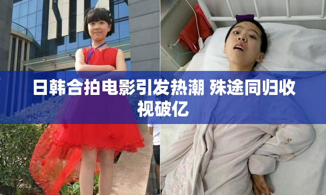 日韩合拍电影引发热潮 殊途同归收视破亿