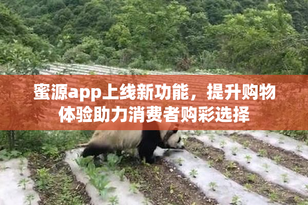 蜜源app上线新功能，提升购物体验助力消费者购彩选择