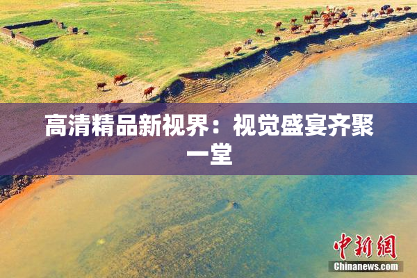 高清精品新视界：视觉盛宴齐聚一堂