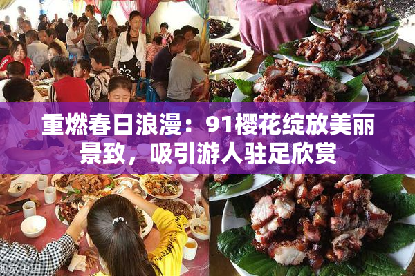 重燃春日浪漫：91樱花绽放美丽景致，吸引游人驻足欣赏
