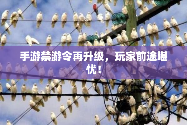 手游禁游令再升级，玩家前途堪忧！