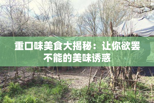 重口味美食大揭秘：让你欲罢不能的美味诱惑