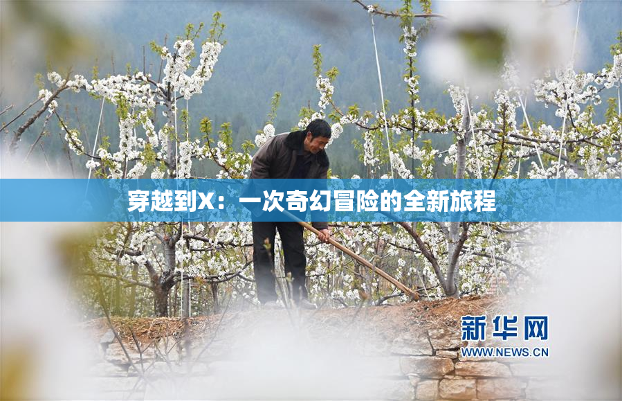 穿越到X：一次奇幻冒险的全新旅程