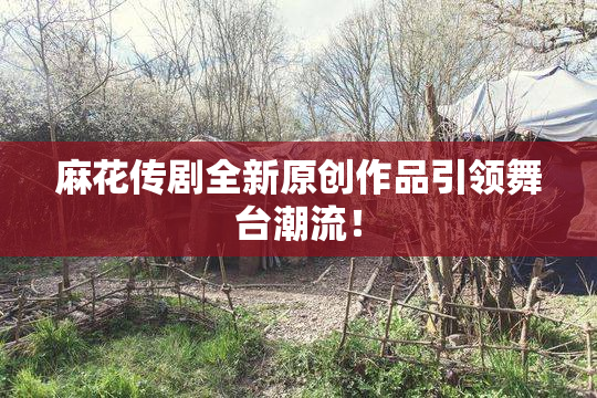 麻花传剧全新原创作品引领舞台潮流！