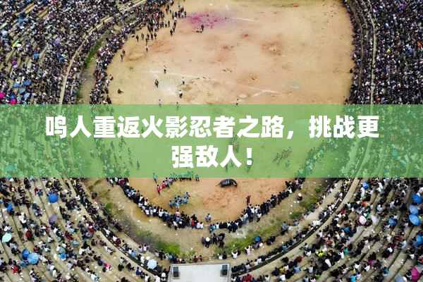 鸣人重返火影忍者之路，挑战更强敌人！