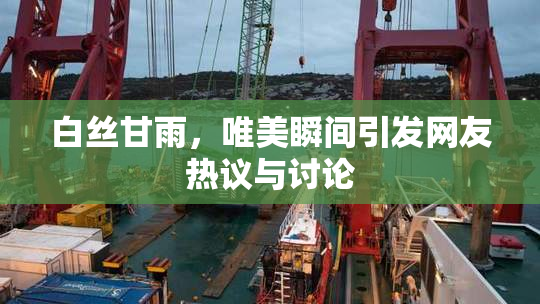 白丝甘雨，唯美瞬间引发网友热议与讨论