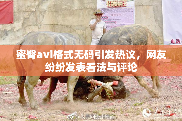 蜜臀avi格式无码引发热议，网友纷纷发表看法与评论