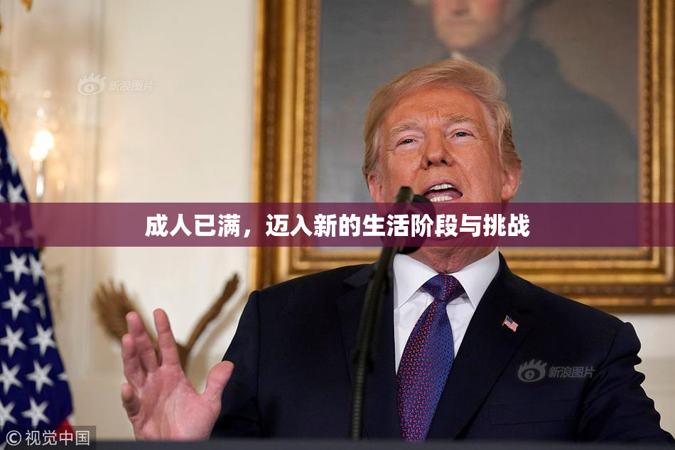 成人已满，迈入新的生活阶段与挑战