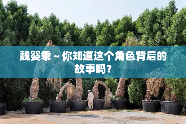 魏婴乖～你知道这个角色背后的故事吗？