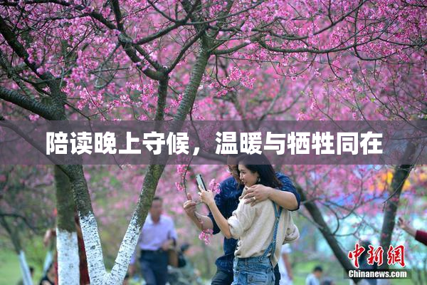 陪读晚上守候，温暖与牺牲同在