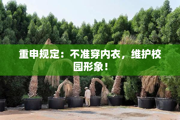 重申规定：不准穿内衣，维护校园形象！