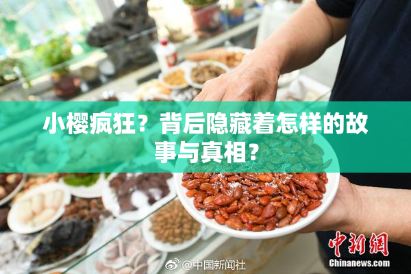 小樱疯狂？背后隐藏着怎样的故事与真相？