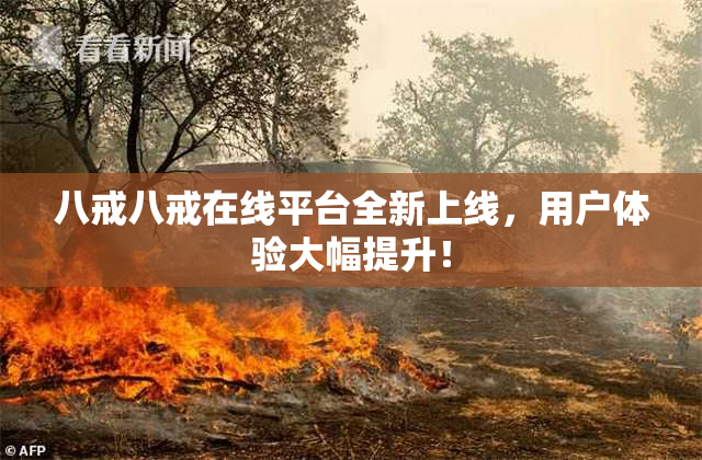 八戒八戒在线平台全新上线，用户体验大幅提升！