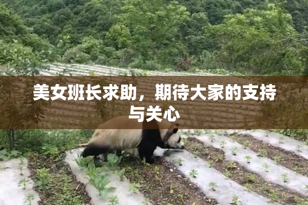 美女班长求助，期待大家的支持与关心