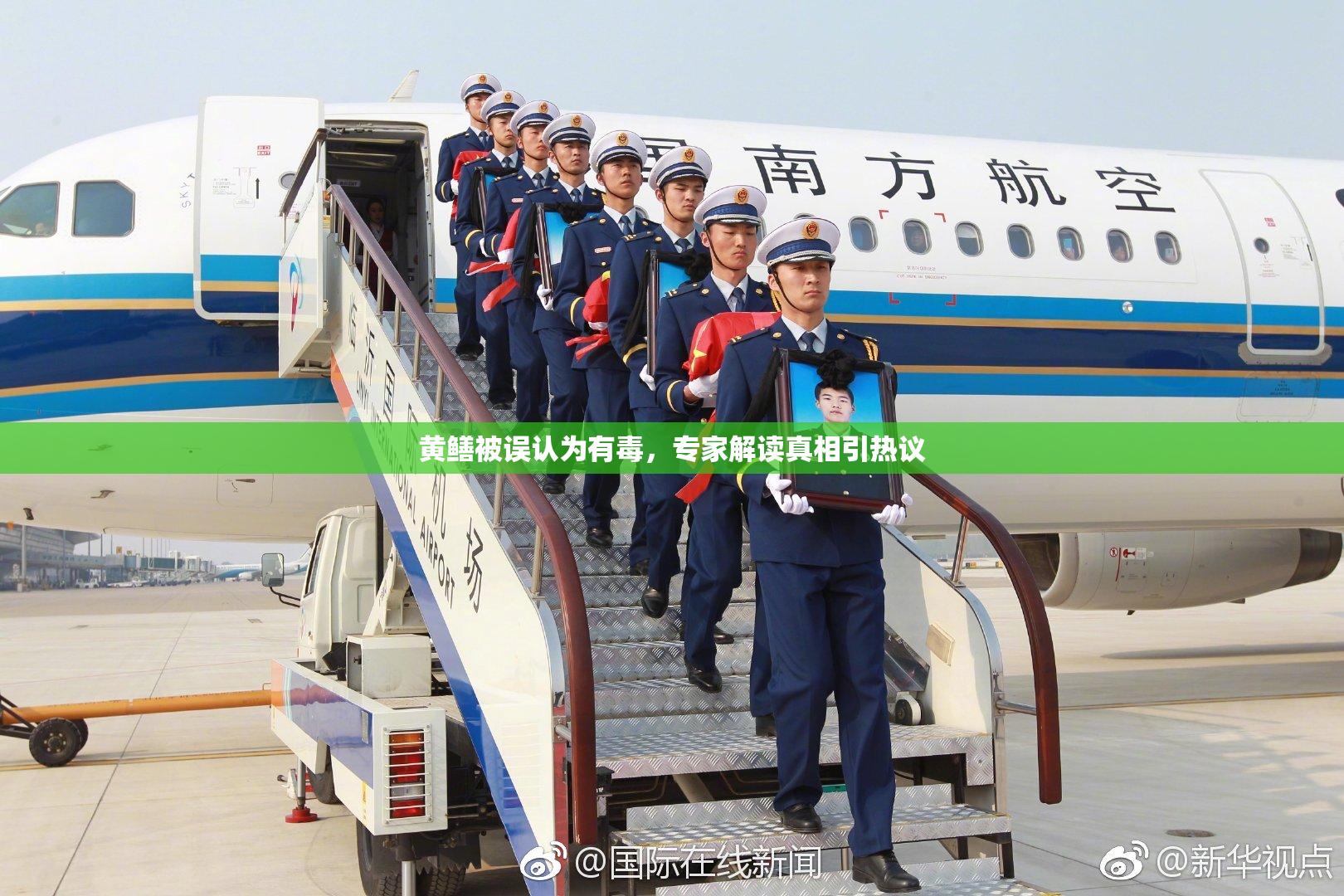 黄鳝被误认为有毒，专家解读真相引热议