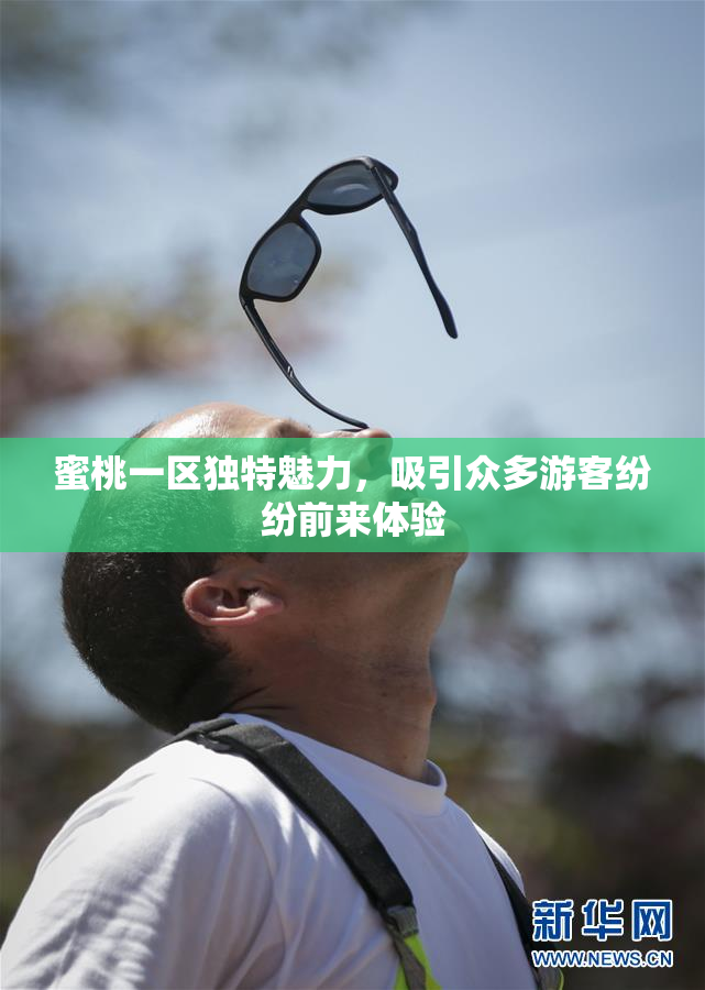 蜜桃一区独特魅力，吸引众多游客纷纷前来体验