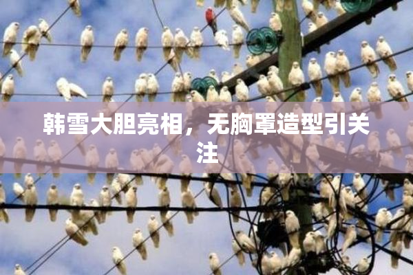 韩雪大胆亮相，无胸罩造型引关注