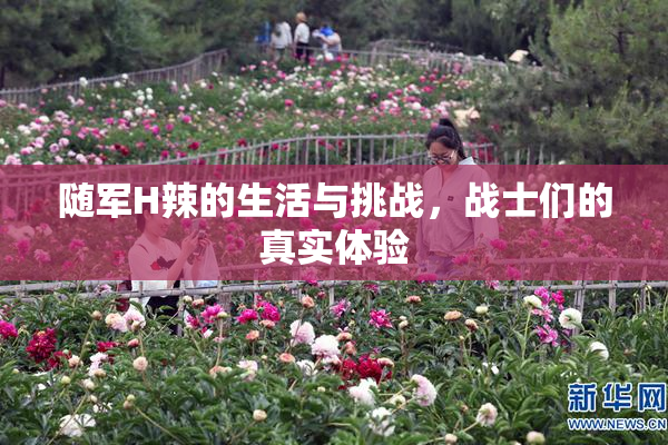 随军H辣的生活与挑战，战士们的真实体验