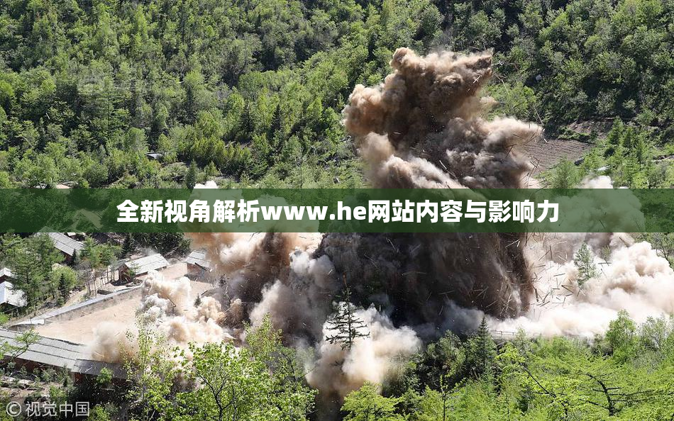 全新视角解析www.he网站内容与影响力