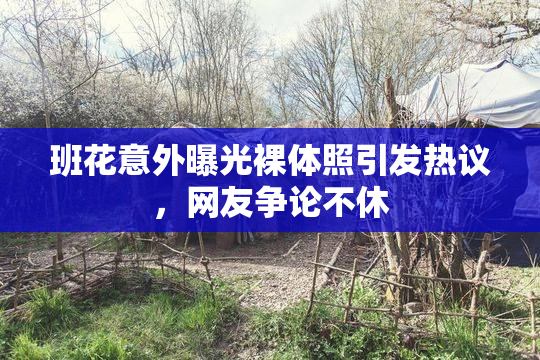 班花意外曝光裸体照引发热议，网友争论不休