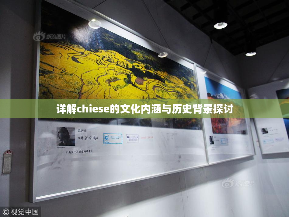 详解chiese的文化内涵与历史背景探讨