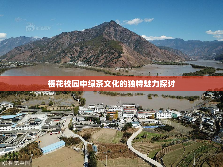 樱花校园中绿茶文化的独特魅力探讨