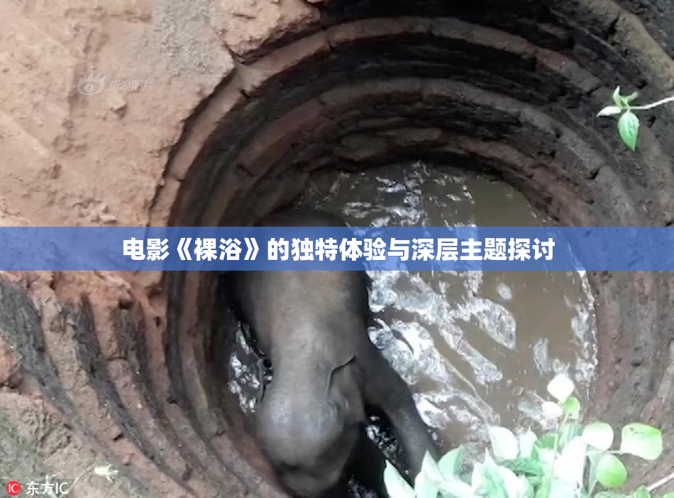 电影《裸浴》的独特体验与深层主题探讨