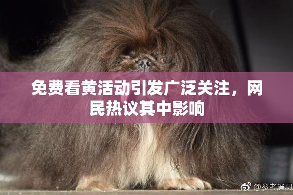 免费看黄活动引发广泛关注，网民热议其中影响