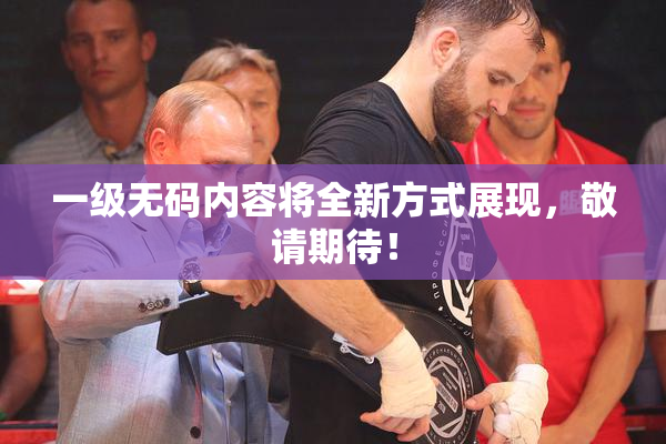 一级无码内容将全新方式展现，敬请期待！