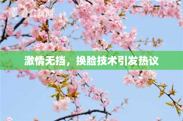 激情无挡，换脸技术引发热议