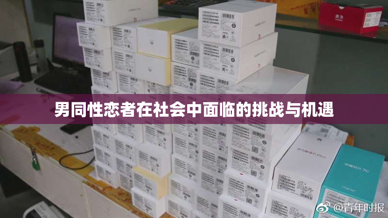 男同性恋者在社会中面临的挑战与机遇
