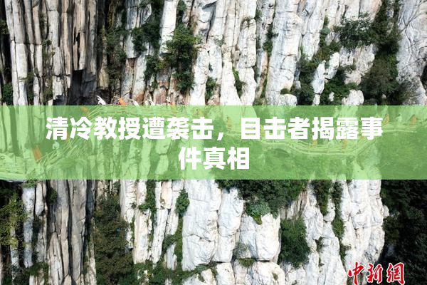 清冷教授遭袭击，目击者揭露事件真相