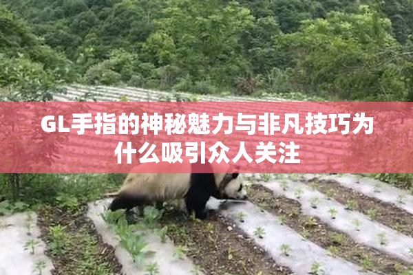 GL手指的神秘魅力与非凡技巧为什么吸引众人关注