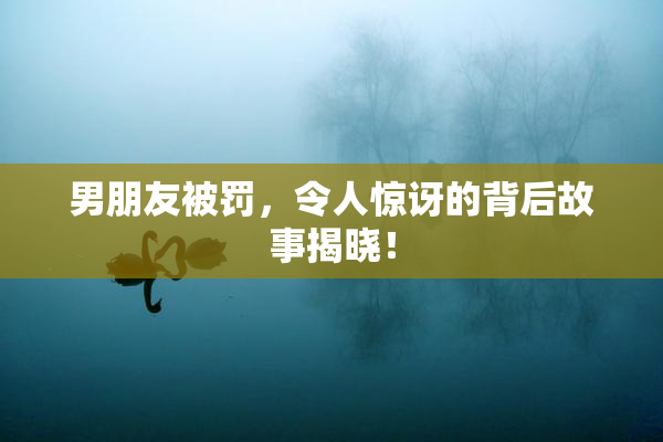 男朋友被罚，令人惊讶的背后故事揭晓！