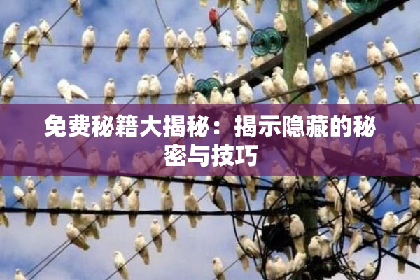 免费秘籍大揭秘：揭示隐藏的秘密与技巧