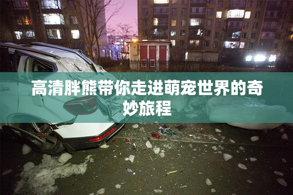 高清胖熊带你走进萌宠世界的奇妙旅程