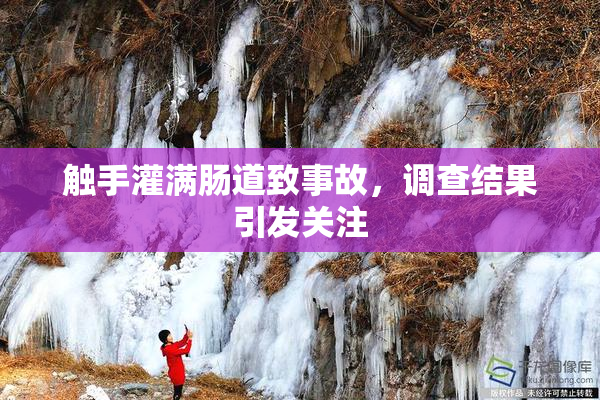 触手灌满肠道致事故，调查结果引发关注