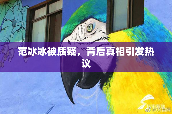 范冰冰被质疑，背后真相引发热议