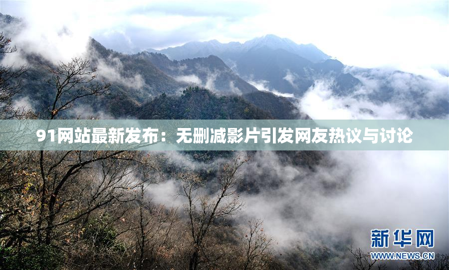 91网站最新发布：无删减影片引发网友热议与讨论