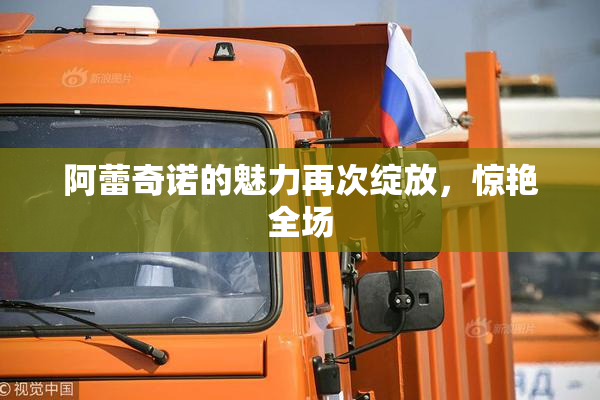 阿蕾奇诺的魅力再次绽放，惊艳全场