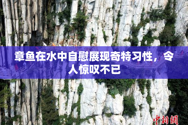 章鱼在水中自慰展现奇特习性，令人惊叹不已